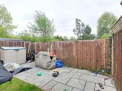 Picture 14